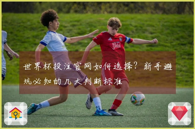 世界杯投注官网如何选择？新手避坑必知的几大判断标准