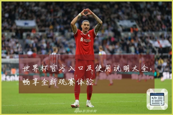 世界杯官方入口及使用说明大全，畅享全新观赛体验