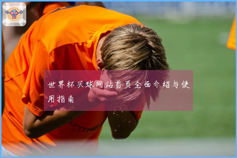 世界杯买球网站首页全面介绍与使用指南