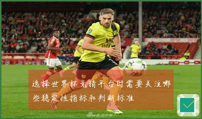选择世界杯竞猜平台时需要关注哪些稳定性指标和判断标准