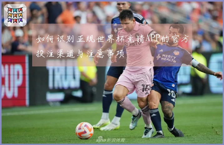 如何识别正规世界杯竞猜APP的官方投注渠道与注意事项