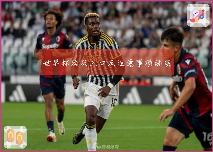 世界杯购买入口及注意事项说明