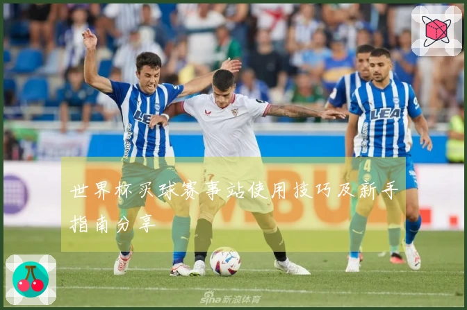 世界杯买球赛事站使用技巧及新手指南分享