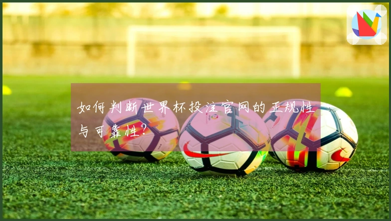 如何判断世界杯投注官网的正规性与可靠性？