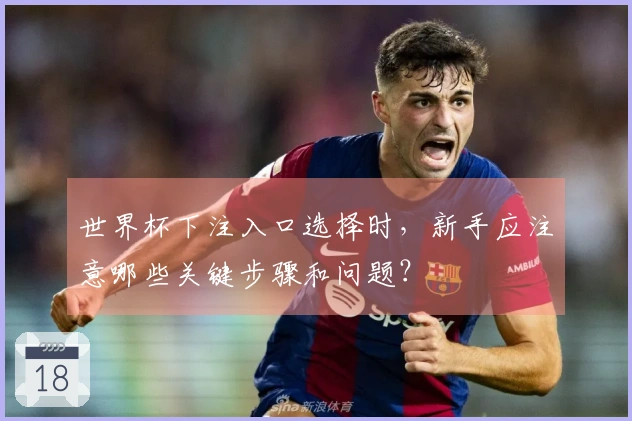 世界杯下注入口选择时，新手应注意哪些关键步骤和问题？