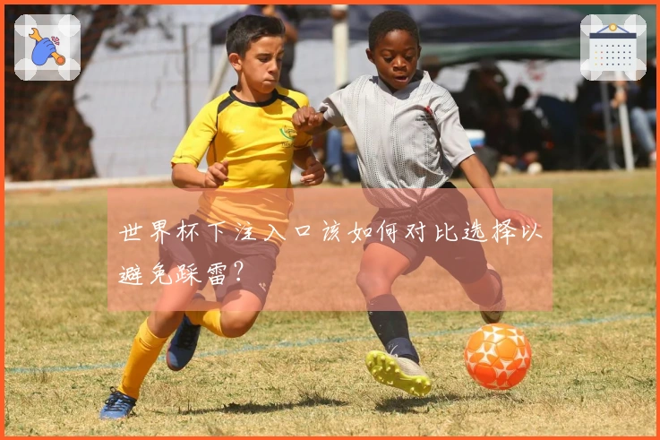 世界杯下注入口该如何对比选择以避免踩雷？
