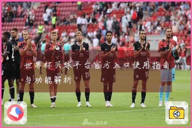 世界杯买球平台官方入口使用指南与功能解析