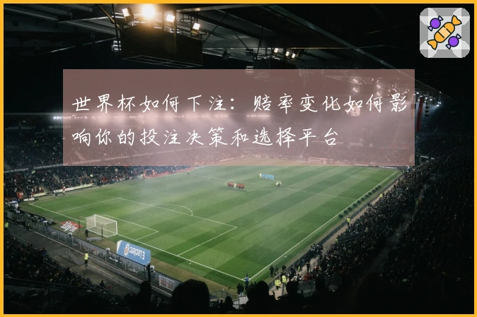 世界杯如何下注：赔率变化如何影响你的投注决策和选择平台