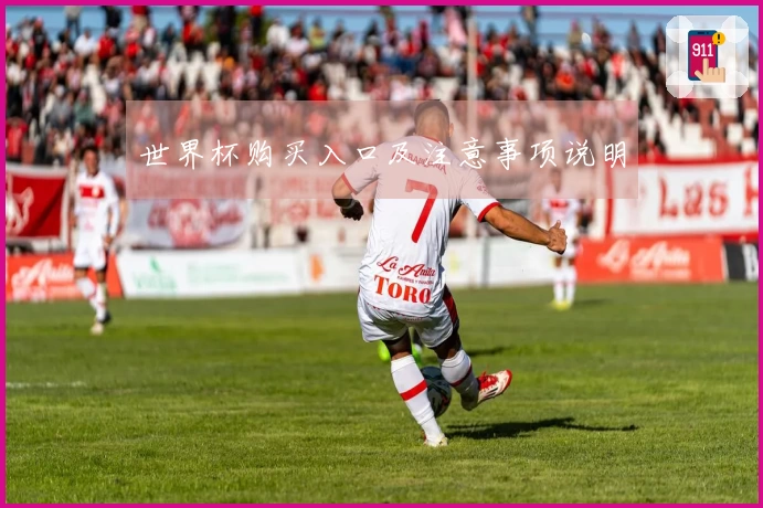 世界杯购买入口及注意事项说明