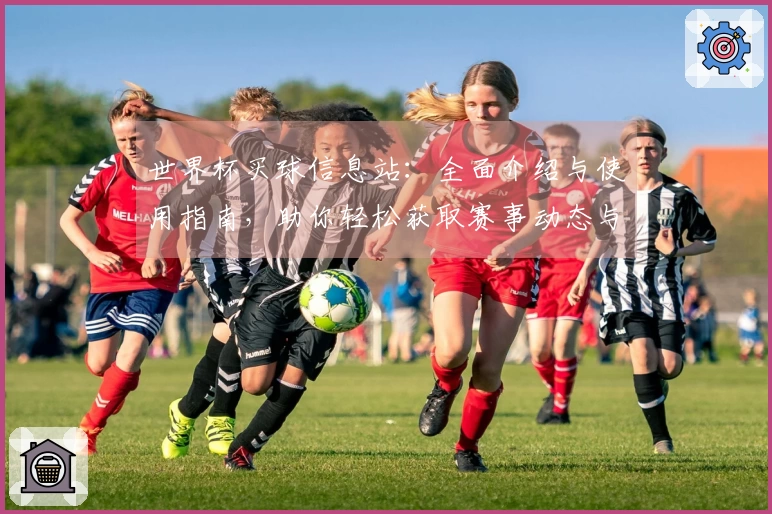 世界杯买球信息站：全面介绍与使用指南，助你轻松获取赛事动态与技巧