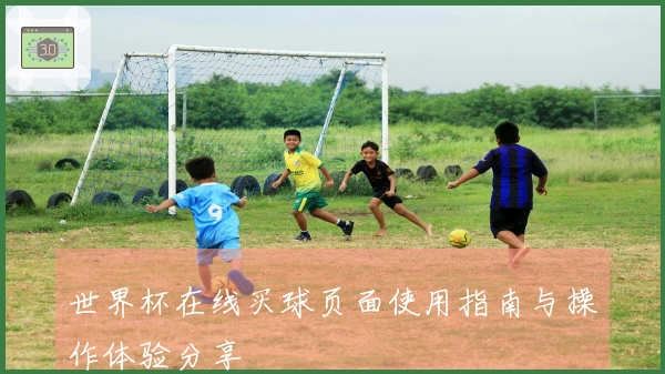 世界杯在线买球页面使用指南与操作体验分享
