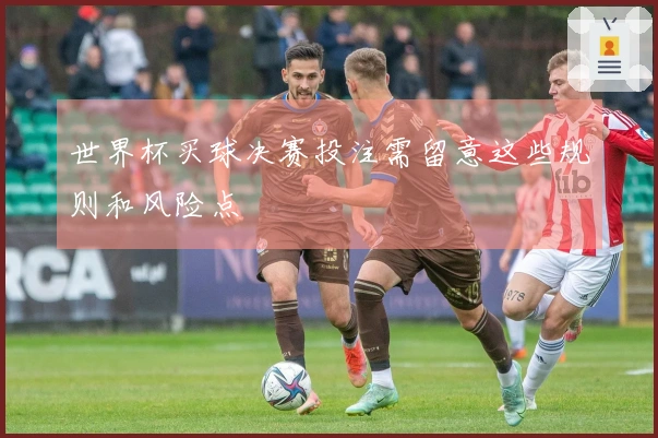 世界杯买球决赛投注需留意这些规则和风险点