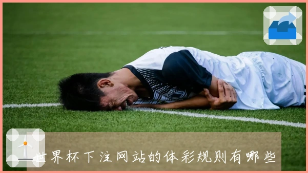世界杯下注网站的体彩规则有哪些？新手需知的关键要点与常见误区