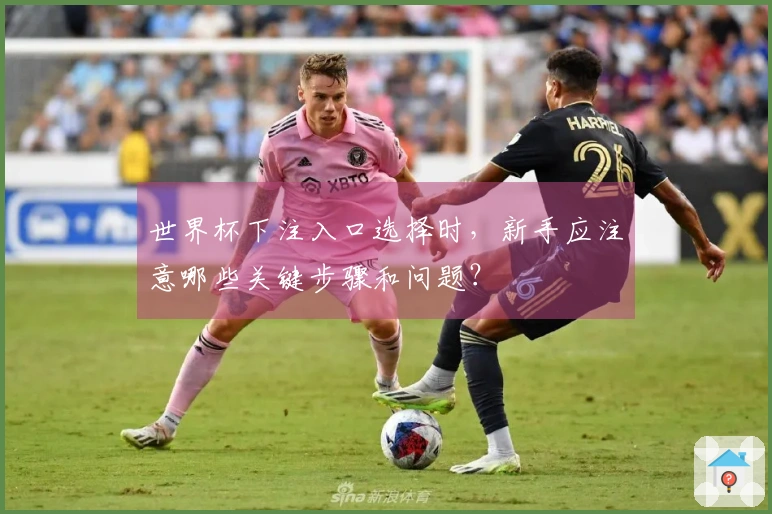 世界杯下注入口选择时，新手应注意哪些关键步骤和问题？