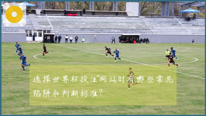 选择世界杯投注网站时有哪些常见陷阱和判断标准？