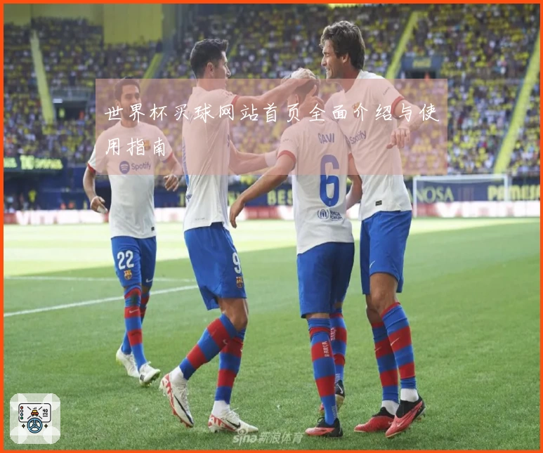 世界杯买球网站首页全面介绍与使用指南