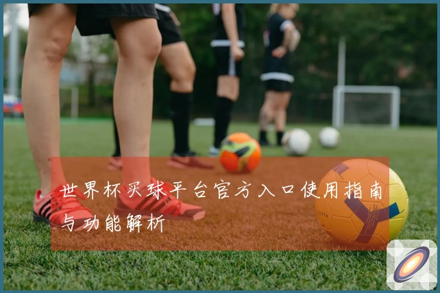 世界杯买球平台官方入口使用指南与功能解析
