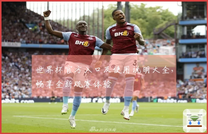 世界杯官方入口及使用说明大全，畅享全新观赛体验