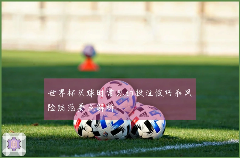 世界杯买球时常见的投注技巧和风险防范要点解析