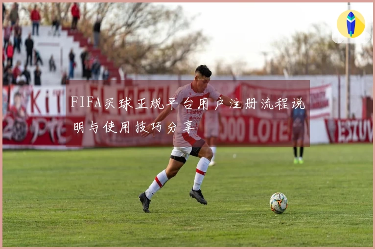 FIFA买球正规平台用户注册流程说明与使用技巧分享