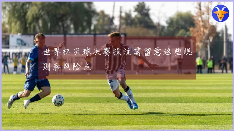 世界杯买球决赛投注需留意这些规则和风险点