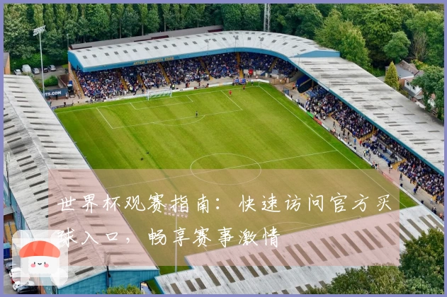 世界杯观赛指南：快速访问官方买球入口，畅享赛事激情