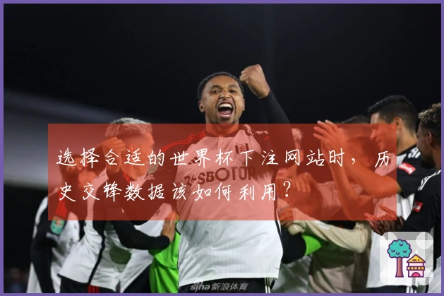 选择合适的世界杯下注网站时，历史交锋数据该如何利用？