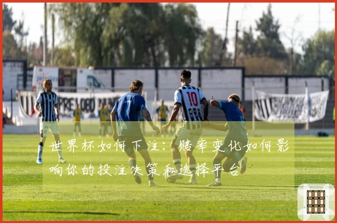 世界杯如何下注：赔率变化如何影响你的投注决策和选择平台