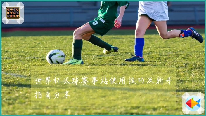 世界杯买球赛事站使用技巧及新手指南分享