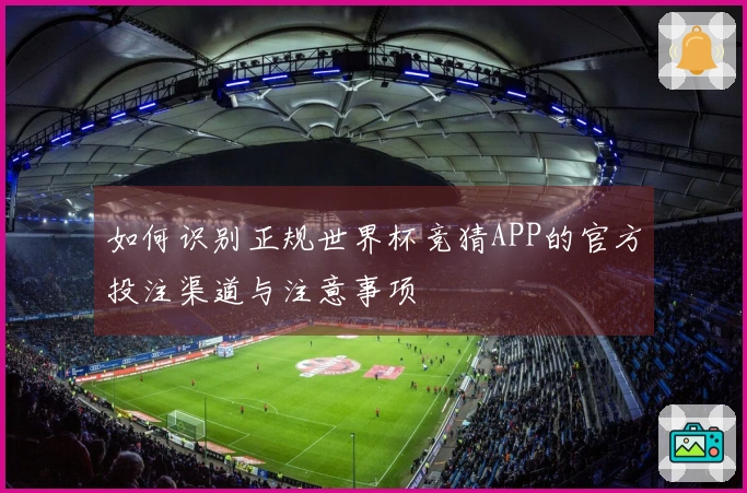 如何识别正规世界杯竞猜APP的官方投注渠道与注意事项