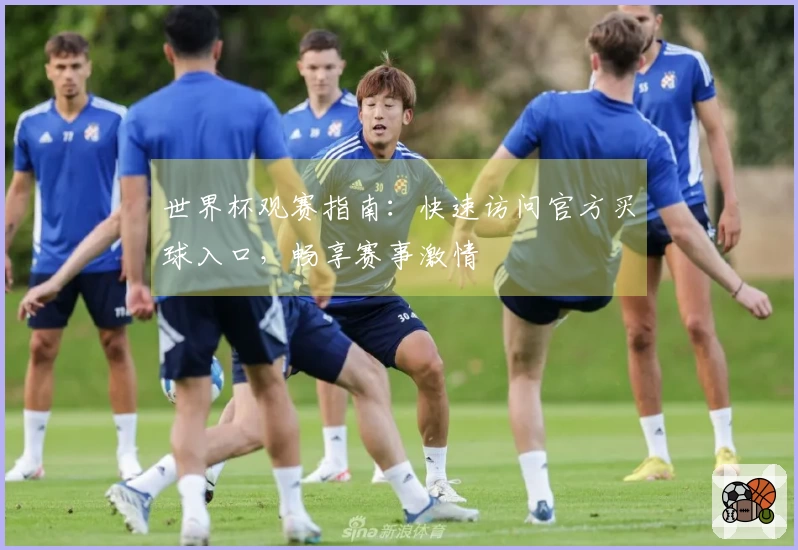 世界杯观赛指南：快速访问官方买球入口，畅享赛事激情