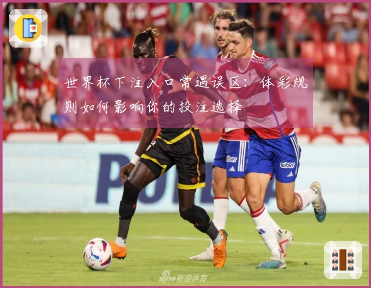 世界杯下注入口常遇误区：体彩规则如何影响你的投注选择