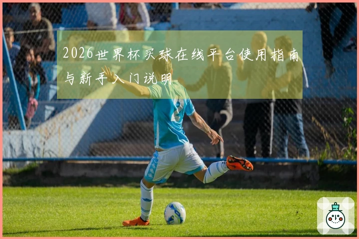 2026世界杯买球在线平台使用指南与新手入门说明